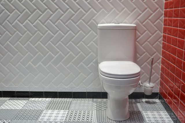 Toilet-Repair--in-Woodhaven-New-York-toilet-repair-woodhaven-new-york.jpg-image